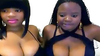 Домашнє секс -відео з двома чорними дівками, які хваляться своїми великими цицьками