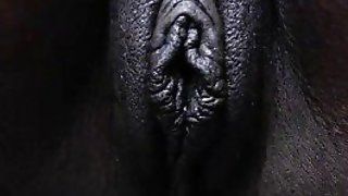 Чорне дерево Мішель показує соло крупним планом - безкоштовне порно відео, секс -фільми.